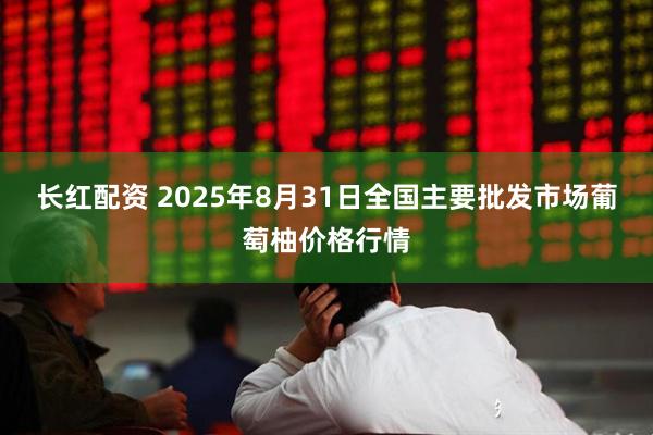 长红配资 2025年8月31日全国主要批发市场葡萄柚价格行情