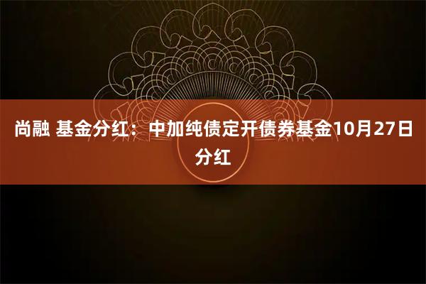 尚融 基金分红：中加纯债定开债券基金10月27日分红