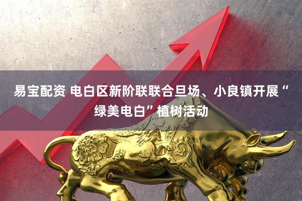 易宝配资 电白区新阶联联合旦场、小良镇开展“绿美电白”植树活动